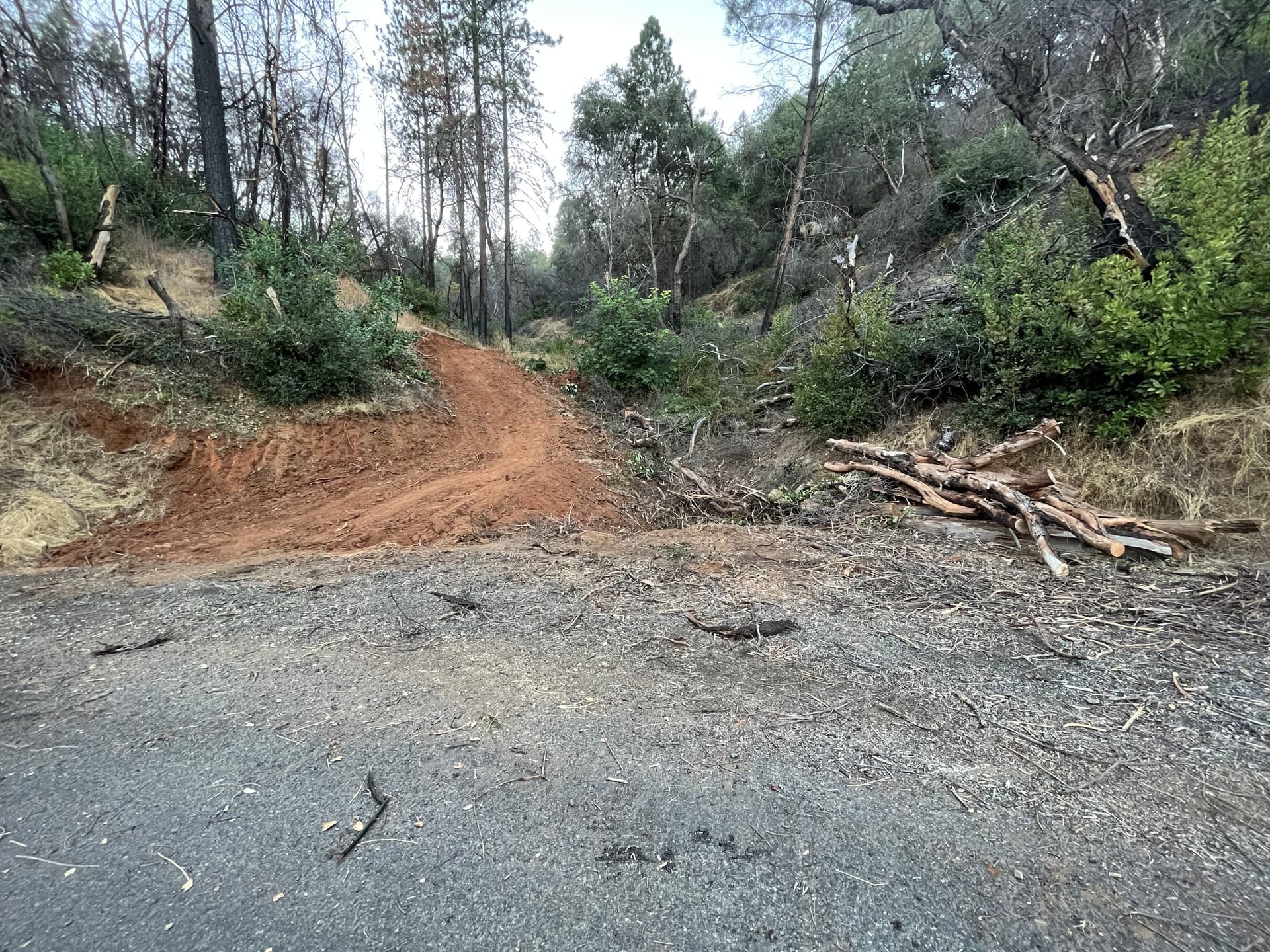 Gallery photos for Access Road Construction in Berry Creek: Image #1
