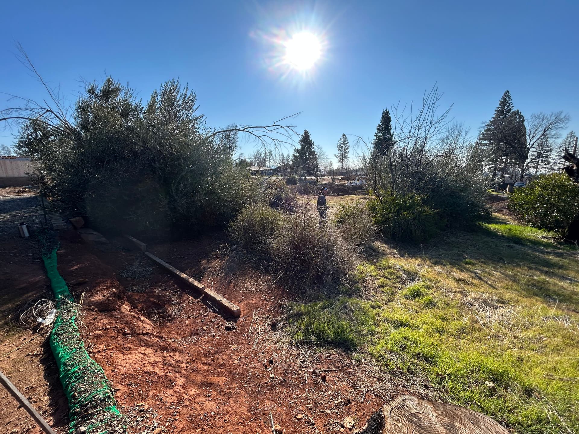 Gallery photos for Site Preparation Success in Paradise: Image #4