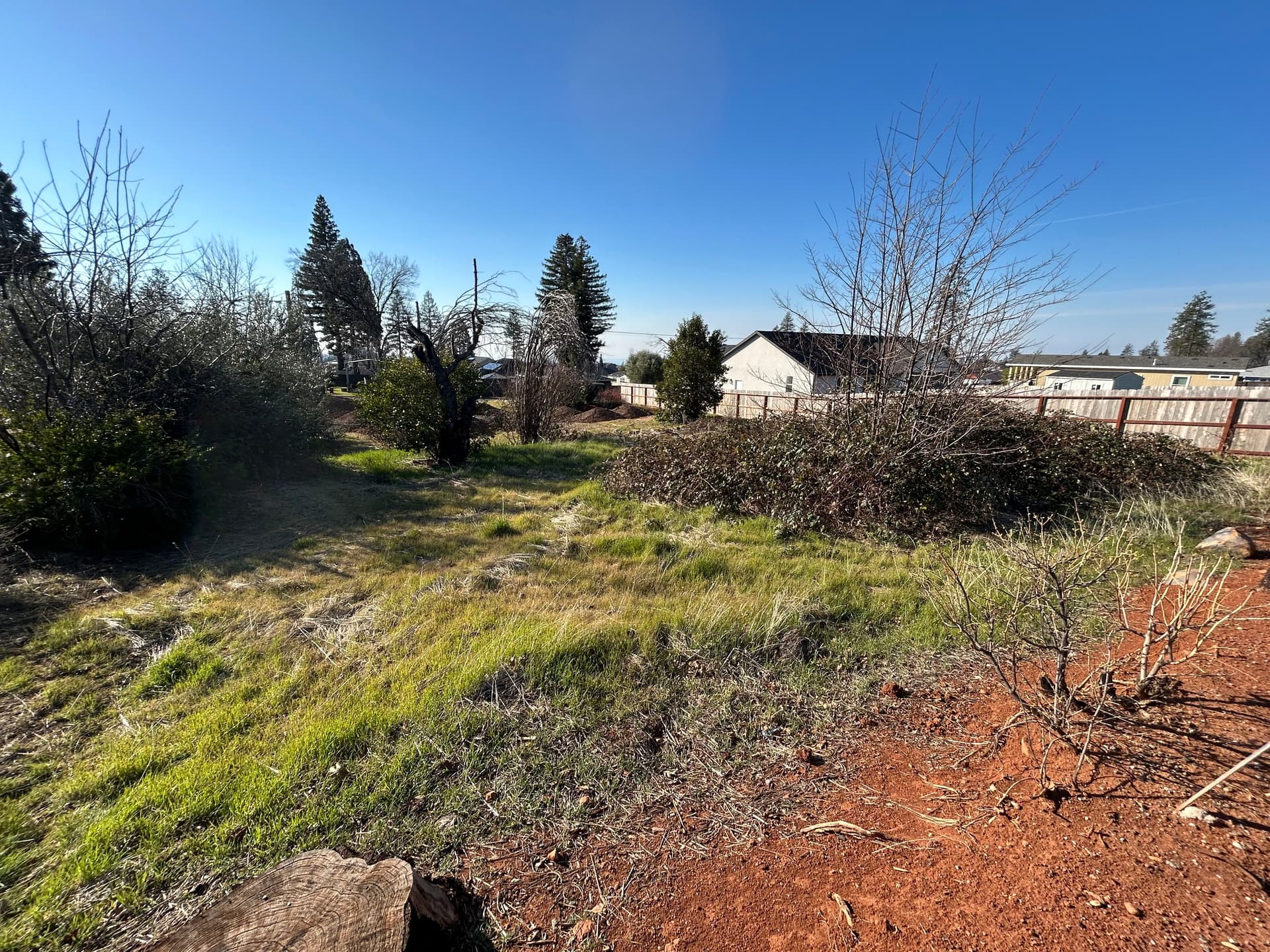 Gallery photos for Site Preparation Success in Paradise: Image #5